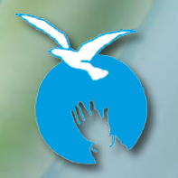 Logo Prader Willy